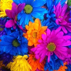 Meet your Posher, Geraldine